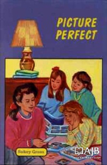 The Girls of Rivka Gross Academy: Picture Perfect (softcover)